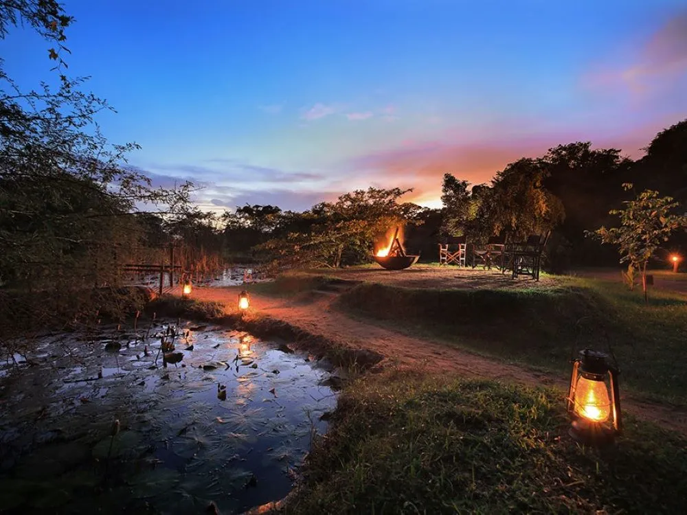 an image of a wilpattu national park