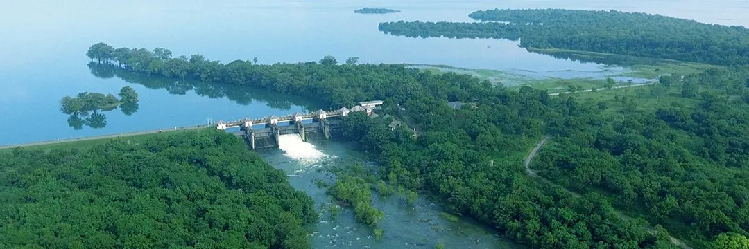 an image of the Udawalawe National Park